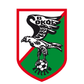 https://img.bj-tjgc.com/img/football/team/e6a8908dd206e2ea02d9803c82c60bba.png